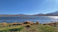 Laguna Cañepa