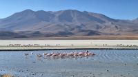 Laguna Hedionda