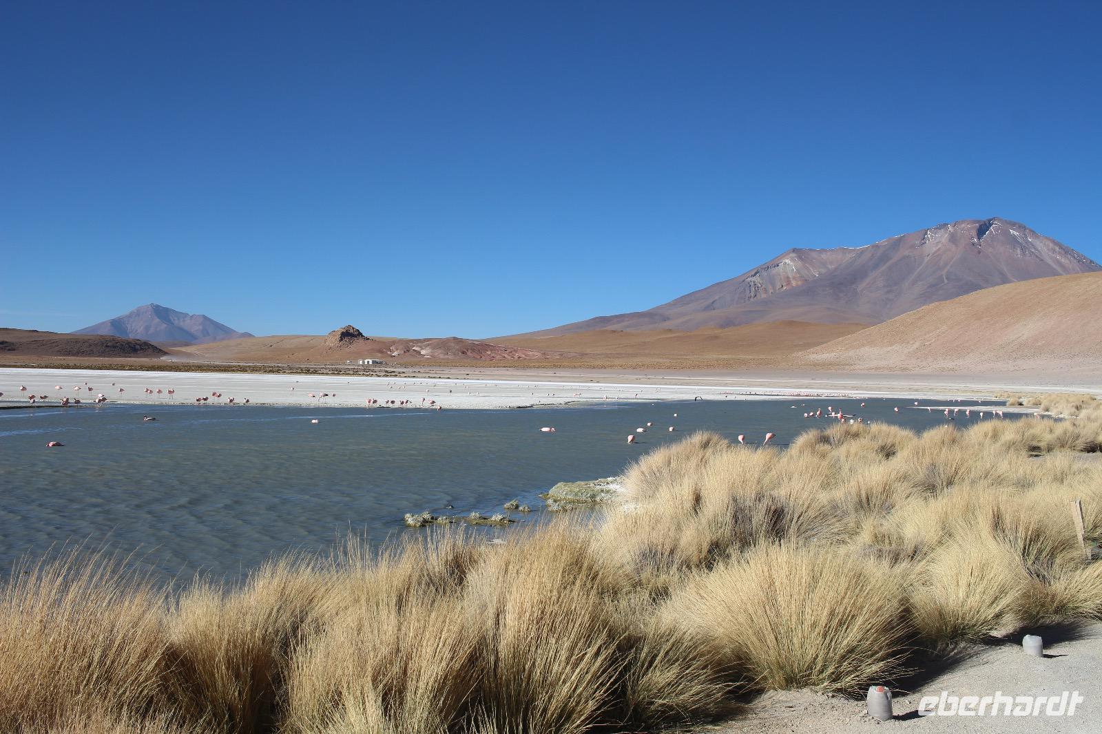 Lagune Hedionda