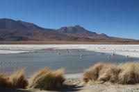 Lagune Hedionda