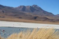 Lagune Hedionda