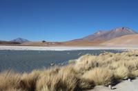 Lagune Hedionda