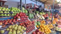Sucre: Markt