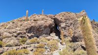 Uyuni Salzsee: Insel Incahuasi