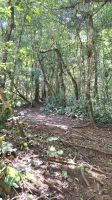 Wanderung im Amboro Nationalpark
