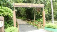 116. Semenggoh Wildlife Centre - Orang Utans