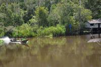 Kalimantan Sequeyer 2