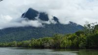 9. Mt. Santubong im Kuching Wetlands Nationalpark