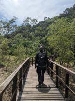 84. Bako Nationalpark