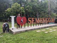 112. Semenggoh Wildlife Centre - Orang Utans