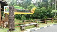 117. Semenggoh Wildlife Centre - Orang Utans