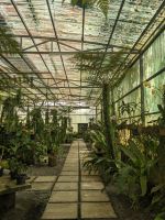 150. Spaziergang zum Orchideengarten Kuching