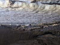 181. Mulu Nationalpark - Langs Cave