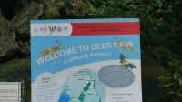 183. Mulu Nationalpark - Deer Cave