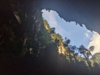 184. Mulu Nationalpark - Deer Cave