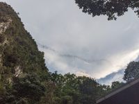 189. Mulu Nationalpark - Naturschauspiel mit Fledermäusen