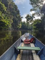 200. Mulu Nationalpark