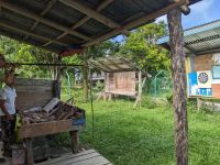 203. Zwischenstopp bei ehemaliger Nomadensiedlung, Mulu Nationalpark