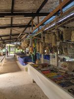 204. Zwischenstopp bei ehemaliger Nomadensiedlung, Mulu Nationalpark