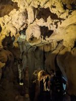 210.  Mulu Nationalpark - Wind Cave