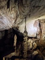 213.  Mulu Nationalpark - Wind Cave
