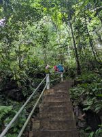 214.  Mulu Nationalpark - Clearwater Cave