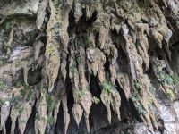 215.  Mulu Nationalpark - Clearwater Cave