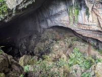 216.  Mulu Nationalpark - Clearwater Cave