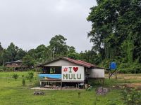 239. Sonnenaufgangsspaziergang mit Larry an unserer Hotelanlage