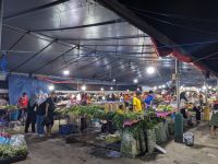253. Nachtmarkt Kota Kinabalu