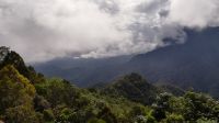 259. Verhangene Sicht auf den Mt. Kinabalu