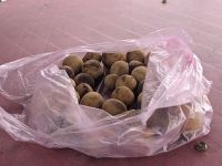 260. Kostprobe von Tino