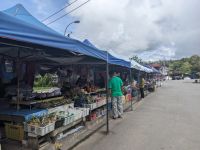 264. Markt in Richtung Mt. Kinabalu Nationalpark