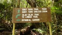 277. Mt. Kinabalu Nationalpark - Subtropischer Regenwald - Botanischer Garten
