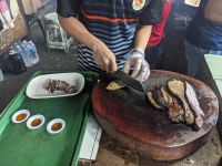 301. Verkostung Wildes Schwein und Reiswein Mt. Kinabalu Nationalpark