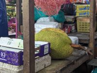 310. Kleiner Stadtspaziergang mit Souvenirshopping in Kota Kinabalu