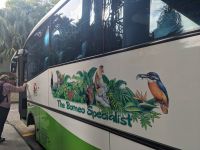 323. Unser Bus in Sandakan & Sukau