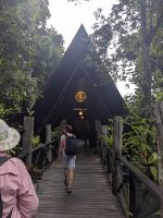 359. Rainforest Lodge Sukau