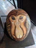 364. Anlage Rainforest Lodge Sukau