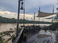 367. Anlage Rainforest Lodge Sukau