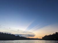 388. Sukau Nachmittagserkundungsfahrt