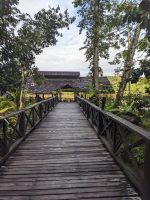 440. Weg zum Restaurant der Rainforest Lodge Sukau