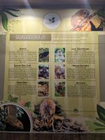 453. Einige der Tierarten im La Rasa Ria Reserve