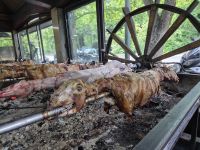 Tag 4 - Lamm über dem Feuer gebraten