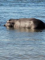112 Bootstour auf dem Kavango