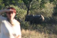 Nur Ursula sucht in der falschen Richtung