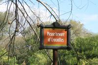 Auch hier gibt es Krokodile