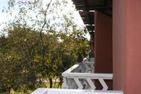 Affen auf meinen Balkon