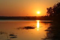 Sonnenuntergang am Chobe