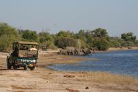 Die nächste Herde ist schon in Sicht